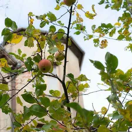 Apartman Oldtimer Varnu Iela *